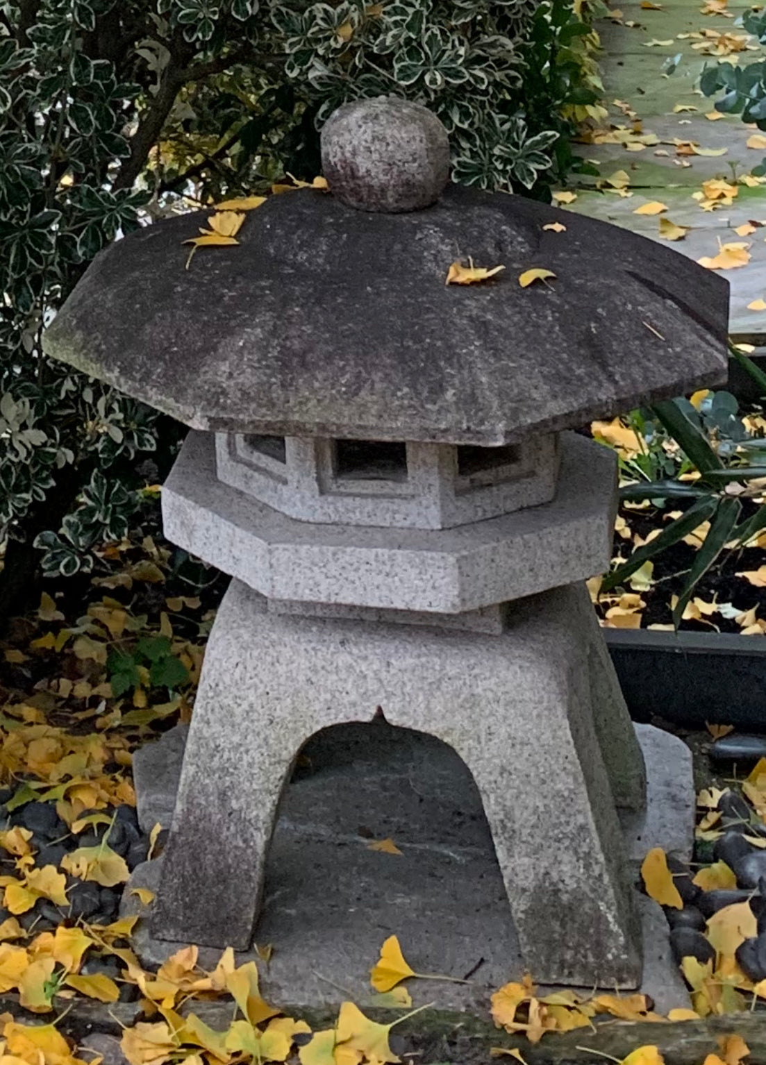 Senyuji Yukimi gata