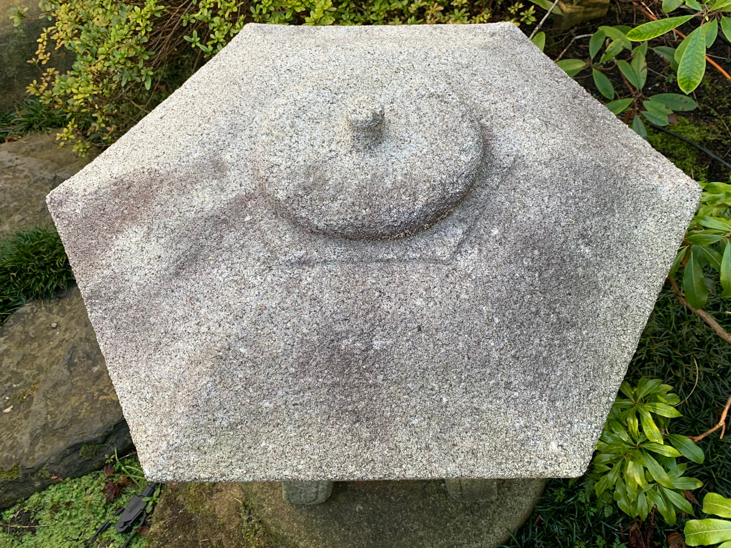 Yukimi gata