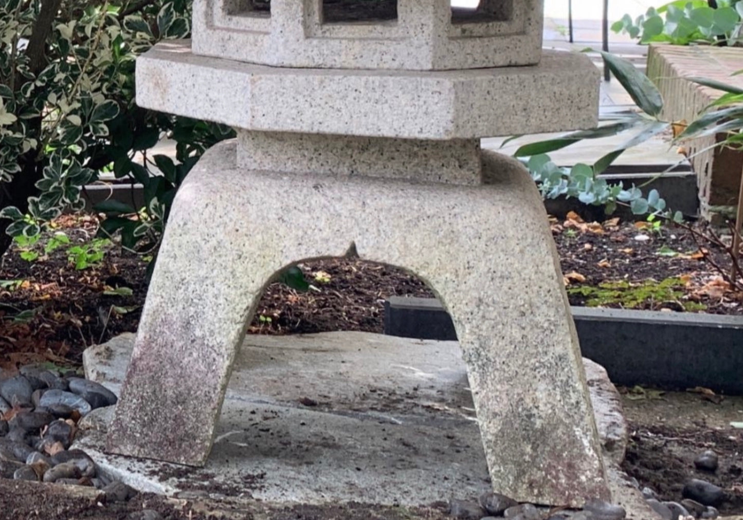 Senyuji Yukimi gata